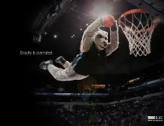 国王杯倒计时,明尼苏达森林狼加时末段豪取连胜,细节引发关注,媒体盛赞,球队文化再被提及 国王杯倒计时,明尼苏达森林狼加时末段豪取连胜,细节引发关注,媒体盛赞,球队文化再被提及